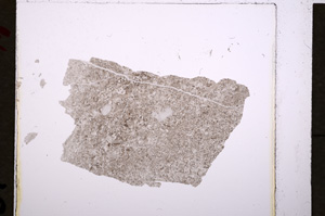 Plane Polarized, E19118