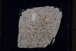 Cross Polarized, E19121