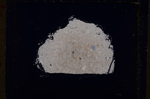 Cross Polarized, E19134