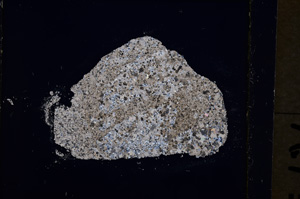 Cross Polarized, E19136