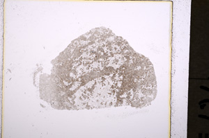 Plane Polarized, E19136