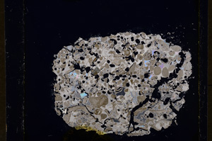 Cross Polarized, E19177