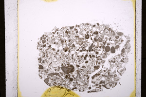 Plane Polarized, E19177