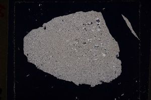 Cross Polarized, E19180