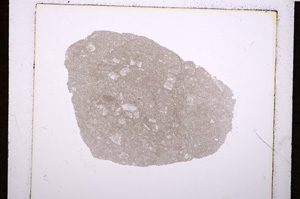 Plane Polarized, E19180/A