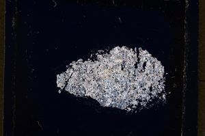 Cross Polarized, E19181