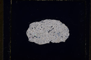 Cross Polarized, E19182