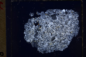 Cross Polarized, E19194