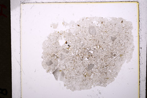 Plane Polarized, E19194