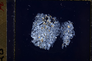 Cross Polarized, E19195