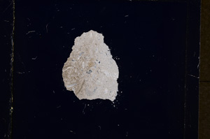 Cross Polarized, E19212