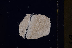 Cross Polarized, E19214