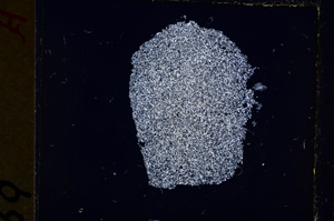 Cross Polarized, E19218