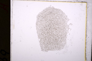 Plane Polarized, E19218