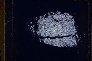 Cross Polarized, E19219