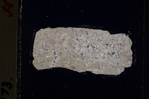 Cross Polarized, E19224