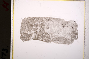 Plane Polarized, E19224