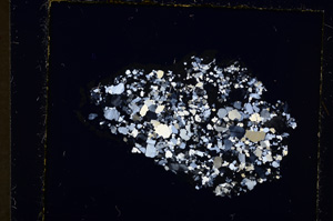 Cross Polarized, E19225