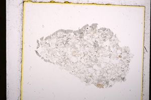 Plane Polarized, E19225