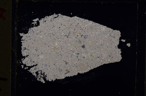 Cross Polarized, E19235