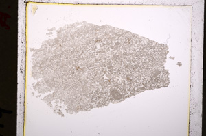 Plane Polarized, E19235