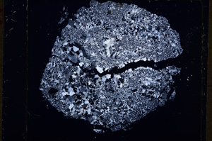 Cross Polarized, E19242