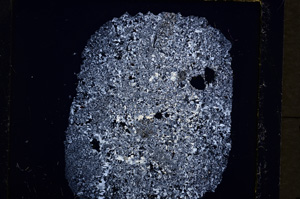 Cross Polarized, E19243