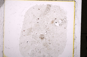 Plane Polarized, E19243