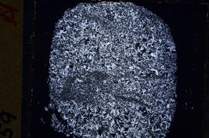 Cross Polarized, E19245