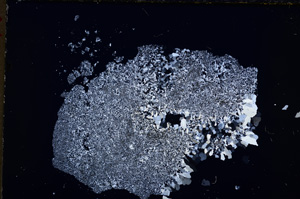 Cross Polarized, E19246