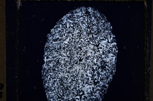 Cross Polarized, E19249