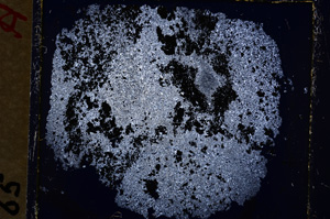 Cross Polarized, E19251