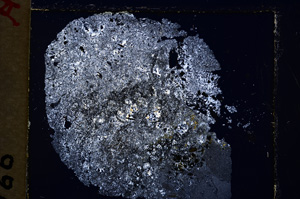 Cross Polarized, E19252