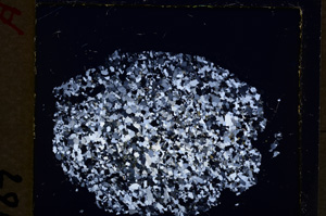 Cross Polarized, E19253