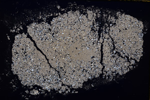 Cross Polarized, E19256