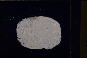 Cross Polarized, E19264