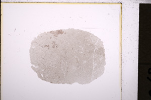 Plane Polarized, E19264