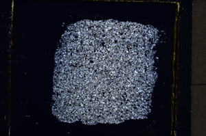 Cross Polarized, E19272