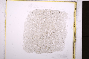 Plane Polarized, E19272