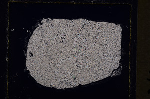 Cross Polarized, E19279