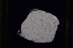 Cross Polarized, E19281