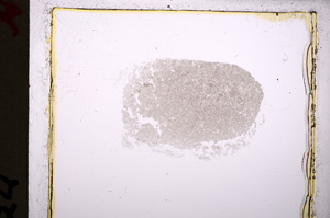 Plane Polarized, E19284