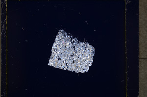 Cross Polarized, E19288