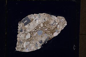 Cross Polarized, E19289