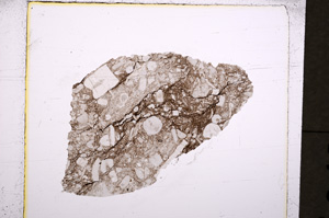 Plane Polarized, E19289