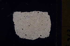 Cross Polarized, E19290