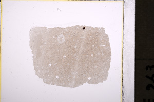 Plane Polarized, E19290