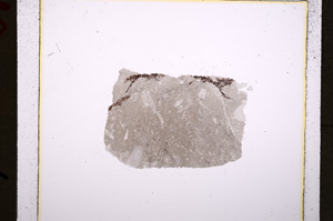 Plane Polarized, E19292