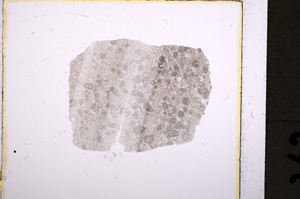 Plane Polarized, E19293