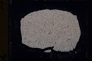 Cross Polarized, E19296